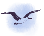 Antarctic experience icon bird