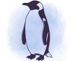 Antarctic experience icon penguin