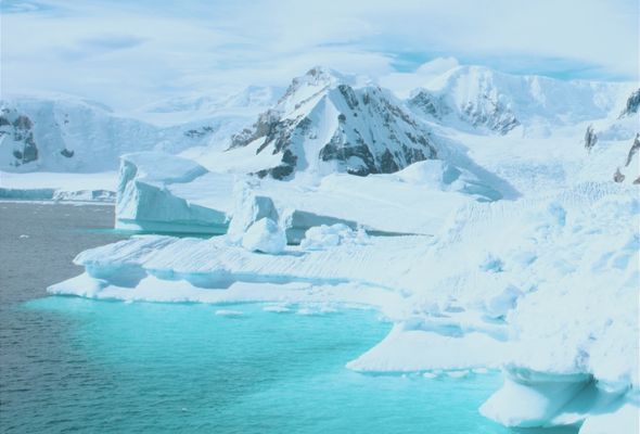 Antarctica travel guide